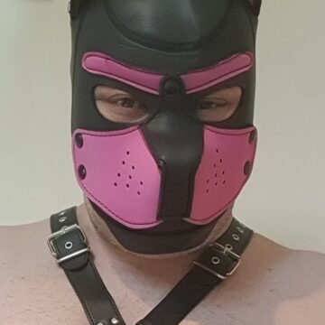 Кучешка маска